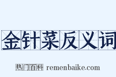 金针菜反义词是什么意思的图片